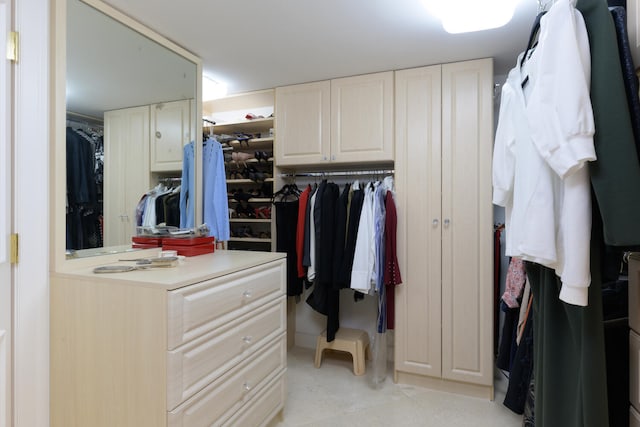 view of spacious closet