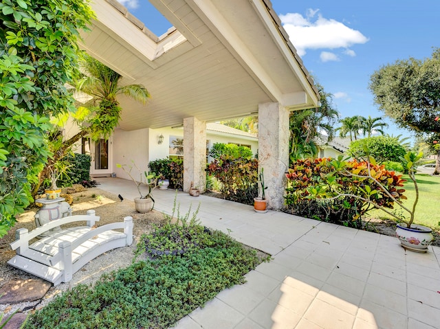 view of patio