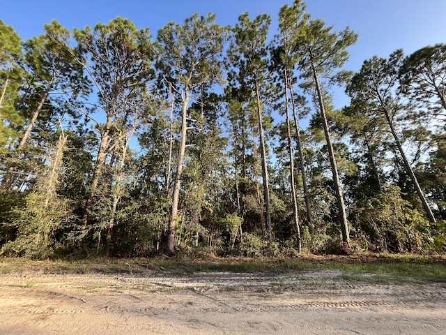 TBD Susan St, Interlachen FL, 32148 land for sale