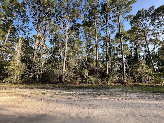 Listing photo 2 for TBD Susan St, Interlachen FL 32148