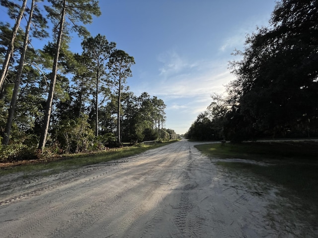 Listing photo 3 for TBD Susan St, Interlachen FL 32148