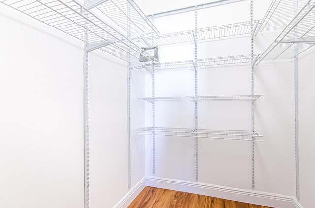 walk in closet with wood-type flooring