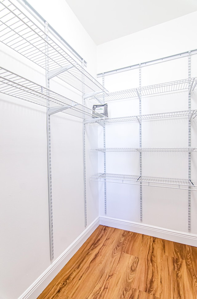 spacious closet with wood-type flooring