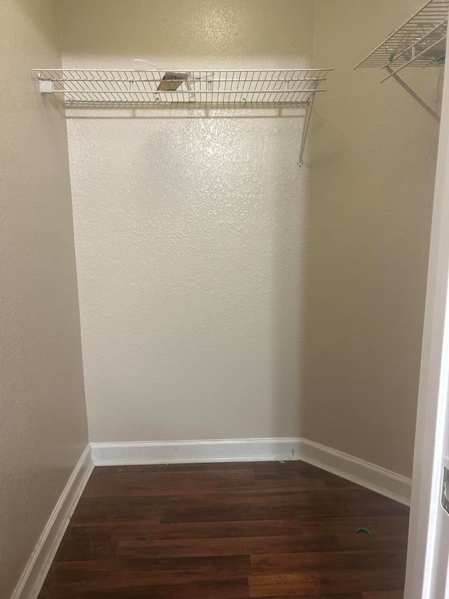 walk in closet featuring dark wood-type flooring