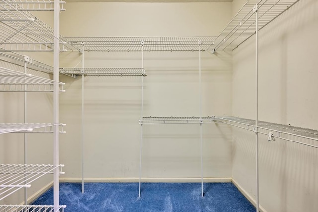 walk in closet with carpet flooring