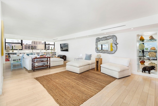 living room featuring light hardwood / wood-style floors