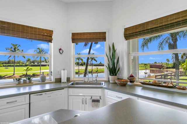 kitchen featuring white cabinets, dishwasher, and sink