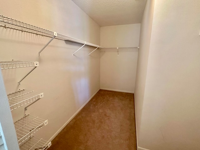 spacious closet with carpet