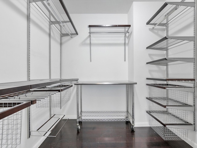 spacious closet featuring wood-type flooring