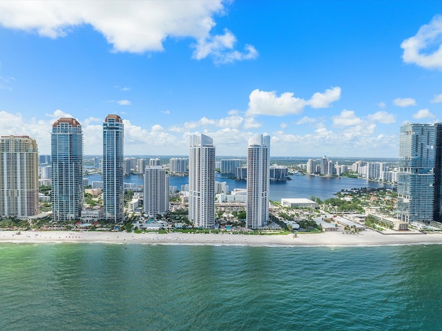 property view of water featuring a view of the beach