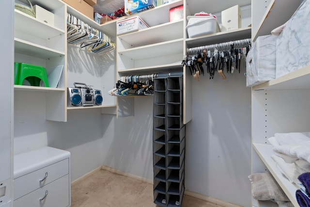 view of spacious closet