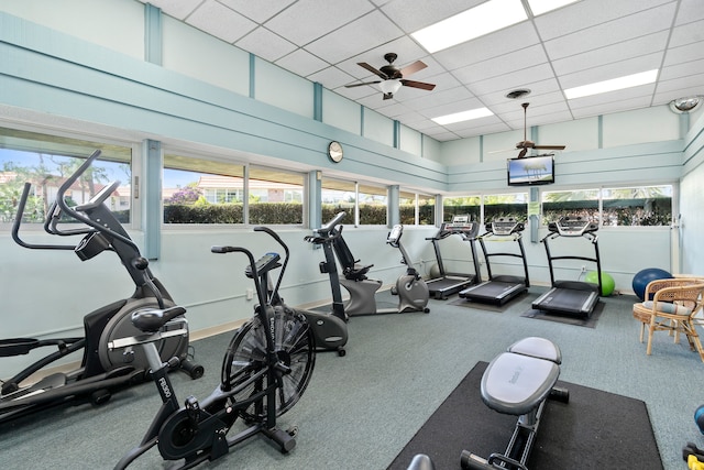 gym featuring a paneled ceiling, carpet flooring, and ceiling fan