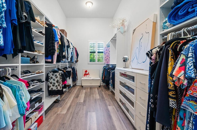 spacious closet with wood-type flooring