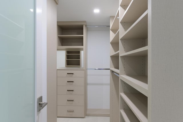 view of spacious closet