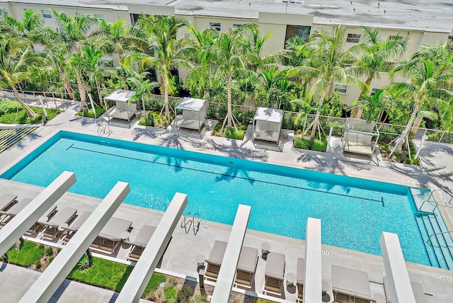 view of pool featuring a patio