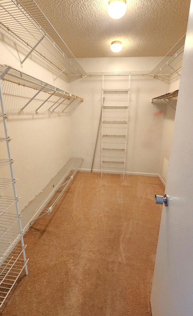 spacious closet featuring carpet flooring