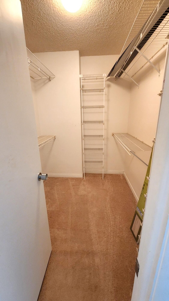 walk in closet featuring carpet flooring