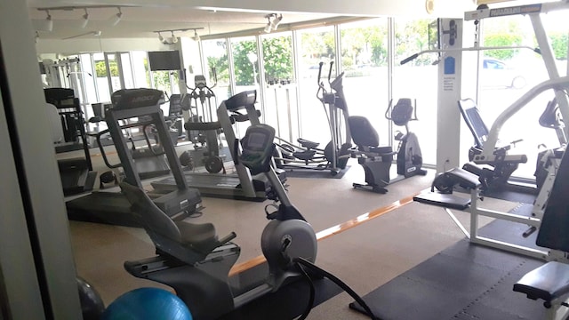 gym featuring expansive windows and track lighting