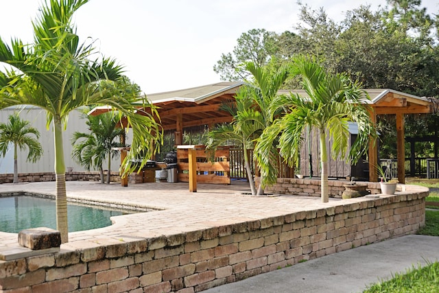 view of swimming pool with a patio