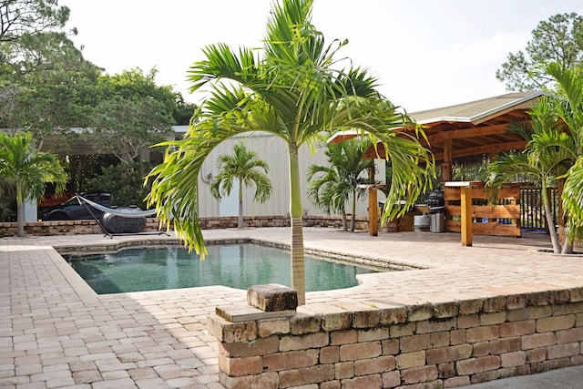 view of swimming pool with a patio area