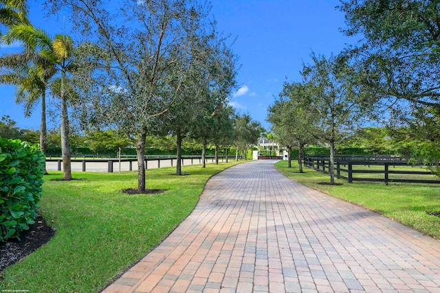 view of community featuring a lawn