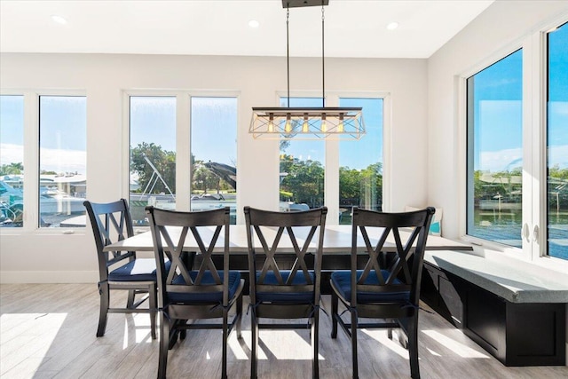 dining space with light hardwood / wood-style flooring