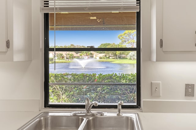 details featuring white cabinets and sink