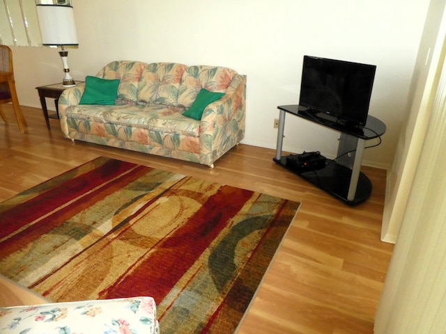 living room with light wood-type flooring