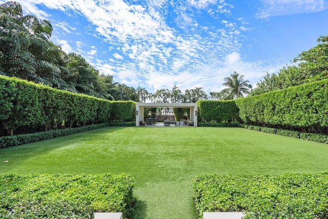 view of yard with a patio