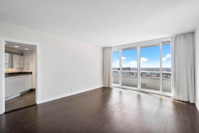 empty room featuring floor to ceiling windows and dark wood-type flooring