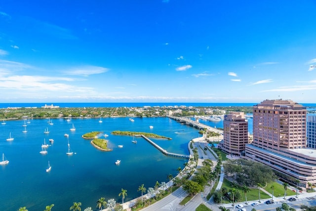 aerial view with a water view