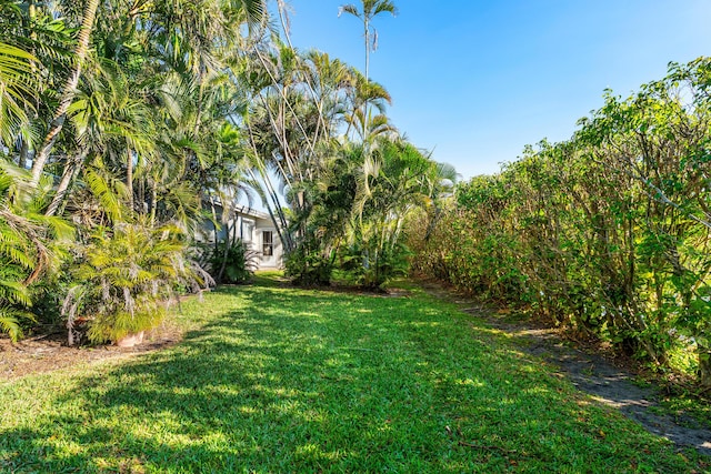 22230 Cameo Dr E, Boca Raton, FL 33433 - view of yard