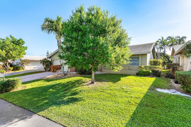 view of property hidden behind natural elements with a front lawn, a garage, and stucco siding