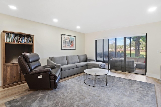 living room with light hardwood / wood-style flooring