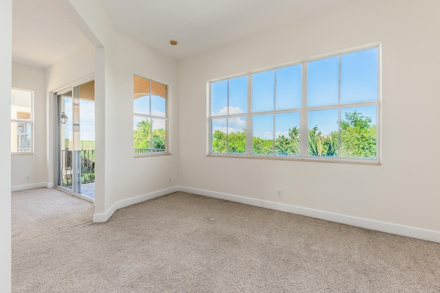 carpeted empty room featuring plenty of natural light