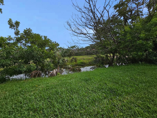 view of yard with a water view