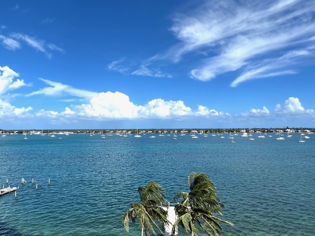 view of water feature