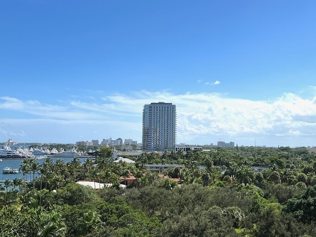 view of city with a water view