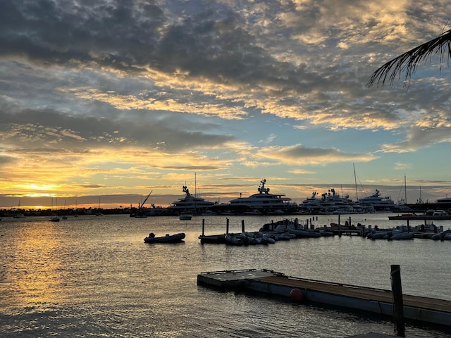 5200 N Flagler Dr Unit 803, West Palm Beach, FL 33407 - water view with a floating dock