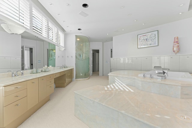 bathroom with vanity and walk in shower