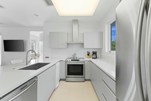 kitchen featuring wall chimney exhaust hood, sink, and stainless steel appliances