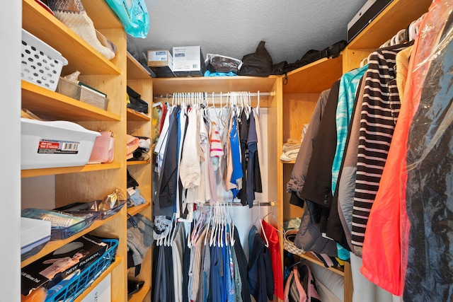 view of spacious closet