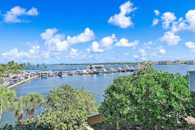 property view of water featuring a dock