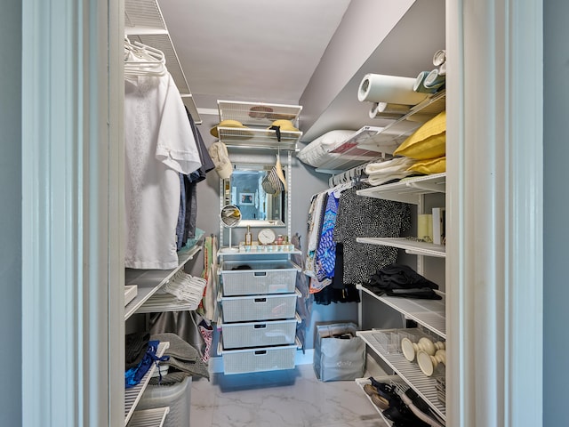 view of walk in closet