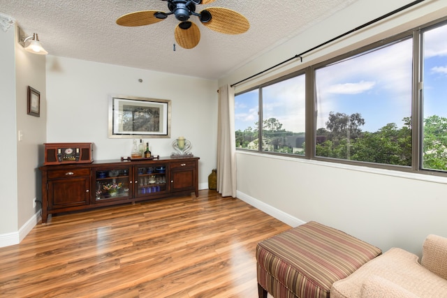 living area with a wealth of natural light, a textured ceiling, and light wood finished floors