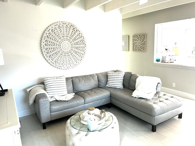 living room with light wood-type flooring