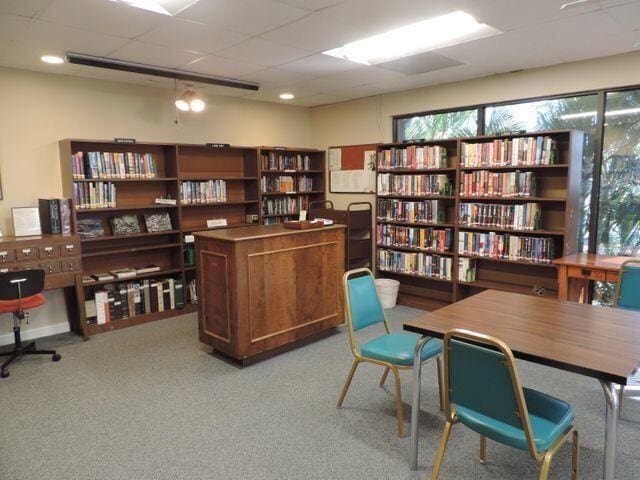 carpeted home office with a paneled ceiling and plenty of natural light