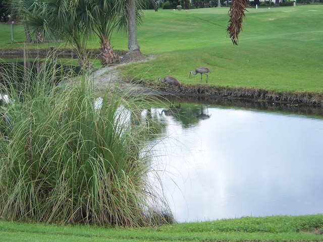 view of water feature