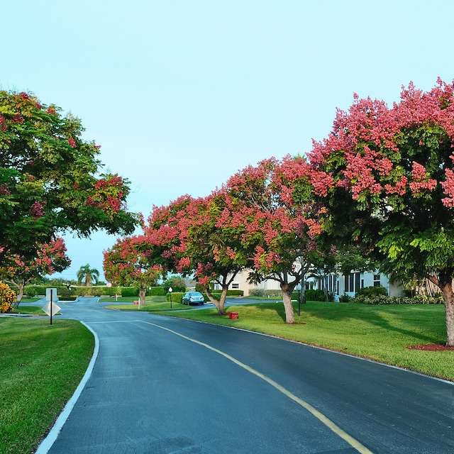 view of road