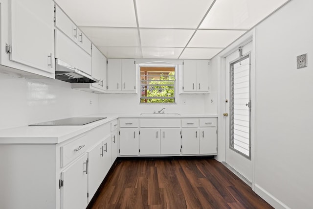 kitchen featuring dark hardwood / wood-style floors, sink, white cabinetry, a paneled ceiling, and black electric cooktop